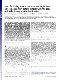 Most Fertilizing Mouse Spermatozoa Begin Their Acrosome Reaction Before Contact with the Zona Pellucida During in Vitro Fertilization