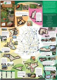 Welcome to the Johannesburg City Park's Walking Trail Guide, the First