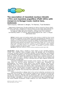 Gmelin 1791) and Cassidula Angulifera (Petit 1841) with Mangrove in Banggi Coast, Central Java, Indonesia 1Dafit Ariyanto, 2Dietriech G