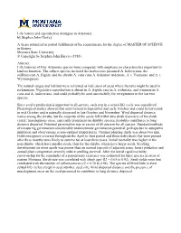 Life History and Reproductive Strategies in Artemisia by Stephen