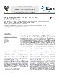 Reactive Silicon Dynamics in a Large Prairie Reservoir (Lake Diefenbaker, Saskatchewan)