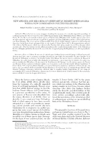 00 WNAN 2007 New PAGE Template