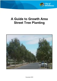 A Guide to Growth Area Street Tree Planting.Pdf