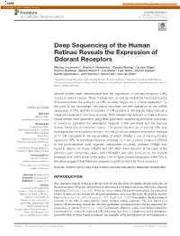 Deep Sequencing of the Human Retinae Reveals the Expression of Odorant Receptors