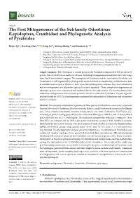 And Phylogenetic Analysis of Pyraloidea