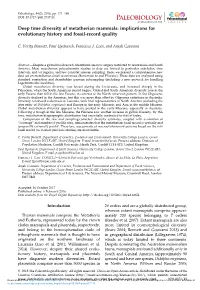 Deep Time Diversity of Metatherian Mammals: Implications for Evolutionary History and Fossil-Record Quality