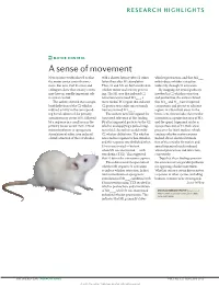 Motor Control: a Sense of Movement