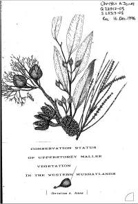 Otrìsiin A1-Onp-S' of Tjpperstoftey MALLEE