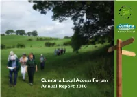 Annual Report 2010 Chairman’S Introduction
