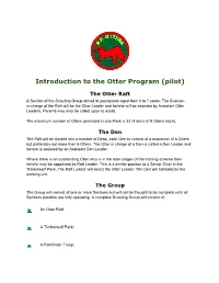Introduction to the Otter Program (Pilot)