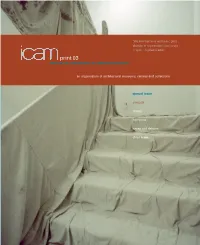 PDF Icamprint 03