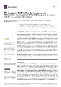 TAT-Conjugated NDUFS8 Can Be Transduced Into Mitochondria in a Membrane-Potential-Independent Manner and Rescue Complex I Defici