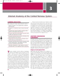 Chapter 3: Internal Anatomy of the Central Nervous System