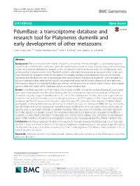 Pdumbase: a Transcriptome Database and Research Tool for Platynereis