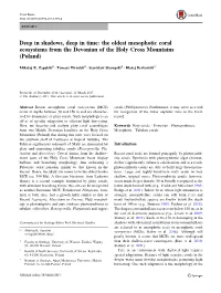 The Oldest Mesophotic Coral Ecosystems from the Devonian of the Holy Cross Mountains (Poland)