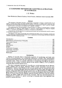 A Taxonomic Revision of Cassytha (Lauraceae)
