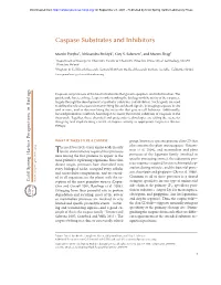 Caspase Substrates and Inhibitors
