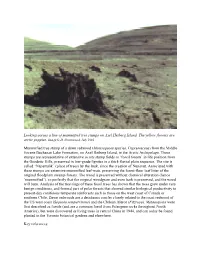 Looking Across a Line of Mummified Tree Stumps on Axel Heiberg Island
