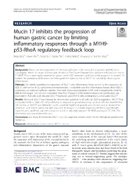Mucin 17 Inhibits the Progression of Human Gastric Cancer by Limiting Inflammatory Responses Through a MYH9-P53-Rhoa Regulatory
