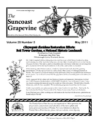 Suncoast Grapevine
