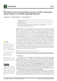 Beneficial Actions of Orostachys Japonica and Its Compounds Against Tumors Via MAPK Signaling Pathways