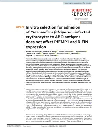 In Vitro Selection for Adhesion of Plasmodium Falciparum-Infected Erythrocytes to ABO Antigens Does Not Affect Pfemp1 and RIFIN