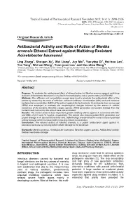 Antibacterial Activity and Mode of Action of Mentha Arvensis Ethanol Extract Against Multidrug-Resistant Acinetobacter Baumannii