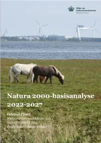 Basisanalyse 2022-27