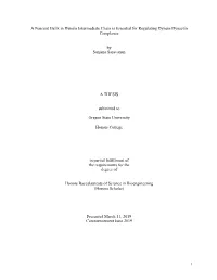 Thesis Draft Sanjana Saravanan