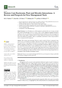 Western Corn Rootworm, Plant and Microbe Interactions: a Review and Prospects for New Management Tools