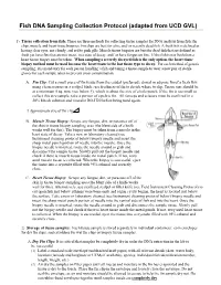 Fish DNA Sampling Collection Protocol (Adapted from UCD GVL)