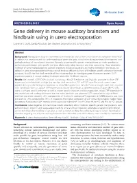 Gene Delivery in Mouse Auditory Brainstem and Hindbrain Using in Utero Electroporation Laurence S David, Jamila Aitoubah, Lee Stephen Lesperance and Lu-Yang Wang*