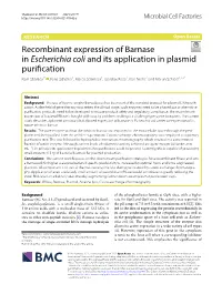 Recombinant Expression of Barnase in Escherichia Coli and Its