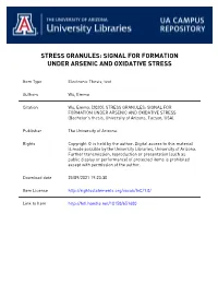 Stress Granules: Signal for Formation Under Arsenic and Oxidative Stress