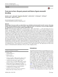 From Zero to Hero: the Past, Present and Future of Grain Amaranth Breeding