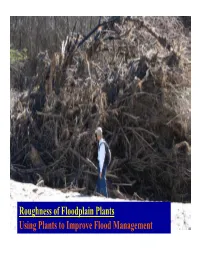 Roughness of Floodplain Plants Using Plants to Improve Flood Management What Is Roughness?