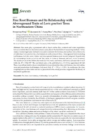 Fine Root Biomass and Its Relationship with Aboveground Traits of Larix Gmelinii Trees in Northeastern China