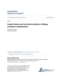 Predator Defense and Host Selection Behavior of Billbugs (Coleoptera: Dryophthoridae)