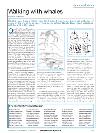 Walking with Whales.Pdf