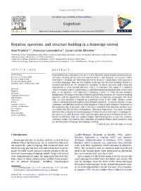 Negation, Questions, and Structure Building in a Homesign System