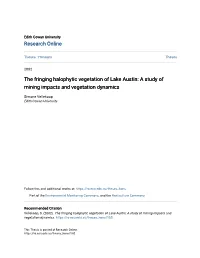 The Fringing Halophytic Vegetation of Lake Austin: a Study of Mining Impacts and Vegetation Dynamics