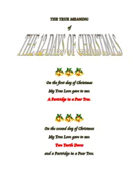THE TRUE MEANING of on the First Day of Christmas My