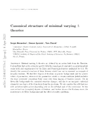 Canonical Structure of Minimal Varying Λ Theories