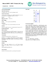 Mouse ENPP7 / NPP-7 Protein (His Tag)