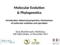 Molecular Evolution & Phylogenetics