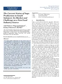 The Current Status of Sago Production in South Sulawesi