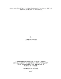 University of Florida Thesis Or Dissertation Formatting