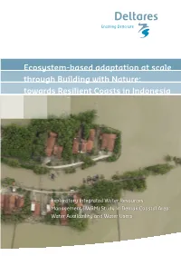 Ecosystem-Based Adaptation at Scale Through Building with Nature: Towards Resilient Coasts in Indonesia