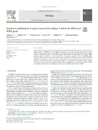 Natural Recombination of Equine Hepacivirus Subtype 1 Within The