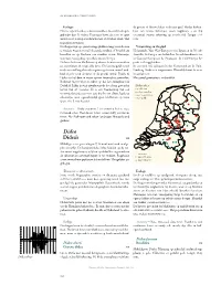 Download PDF ( Final Version , 890Kb )